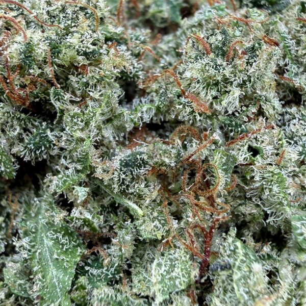 Achat fleur CBD Iced Runtz cbd indoor-cali