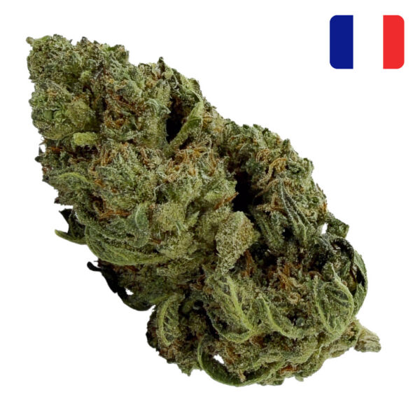 Achat-Fleur-CBD-Lemon Orange CBD-Bud-Mix-Green-House