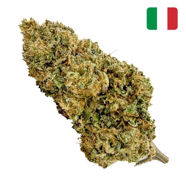 Achat Fleur CBD Strawberry Cheese CBD - Bud Mix - Glass-House