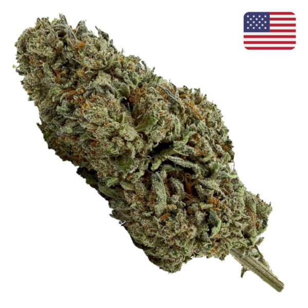 Achat Sour Mango CBD - Bud Mix - Glass-House Cali