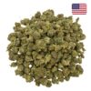 Super Skunk THCX 60% - Small Bud - Glass-House Cali 7 Achat fleur THCX puissante Super Skunk Glass-House Cali