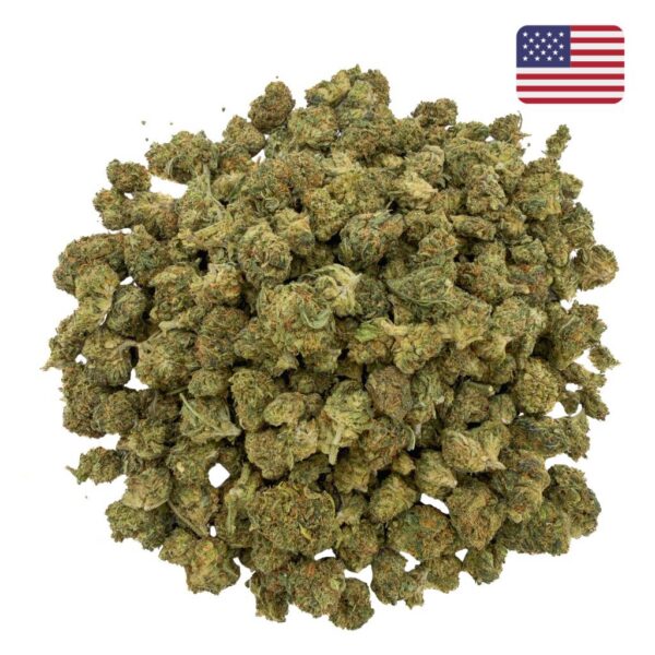 Achat fleur THCX puissante Super Skunk Glass-House Cali