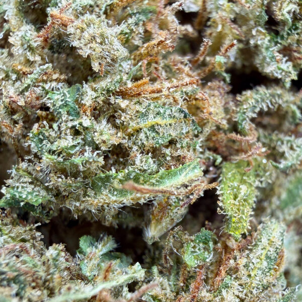 Alternative view of Strawberry Mint CBD - Bud Mix - Glass-House Cali