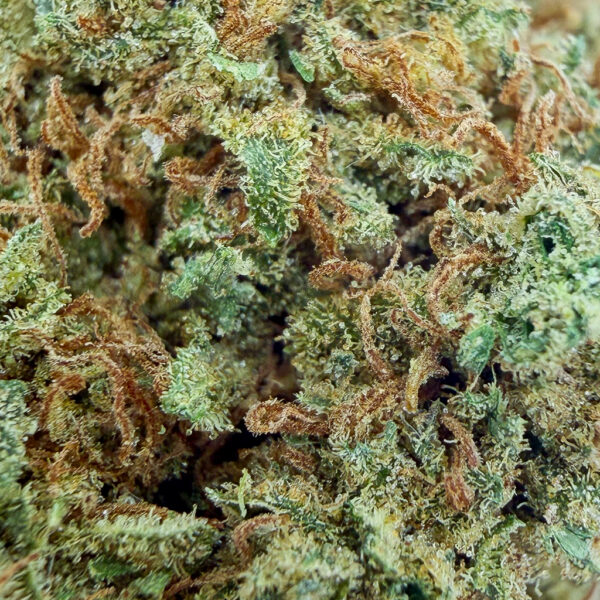 Alternative view of Cannatonic CBD - Bud Mix - Glass-House