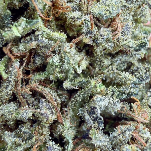Alternative view of Sour Mango CBD - Bud Mix - Glass-House Cali