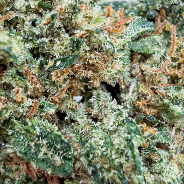 Achat Skywalker OG 60% THCX 2.0 Glass-House A-Cali