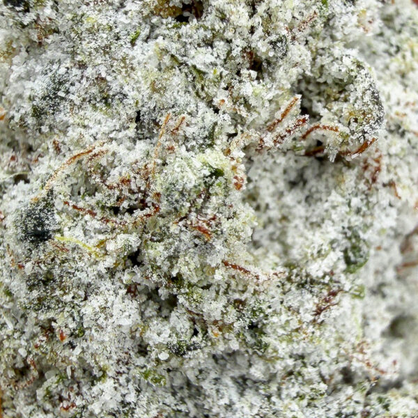 Achat fleur THCX Iced Runtz THCX Crystal Bud Mix Indoor Cali