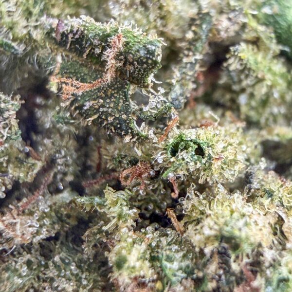 Dynamite Diesel CBD - Bud Mix - Indoor Cali