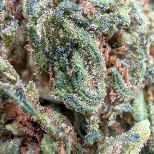 Fleur Cosmic Cookie THCX 60% – Small Bud – Glass-House Cali