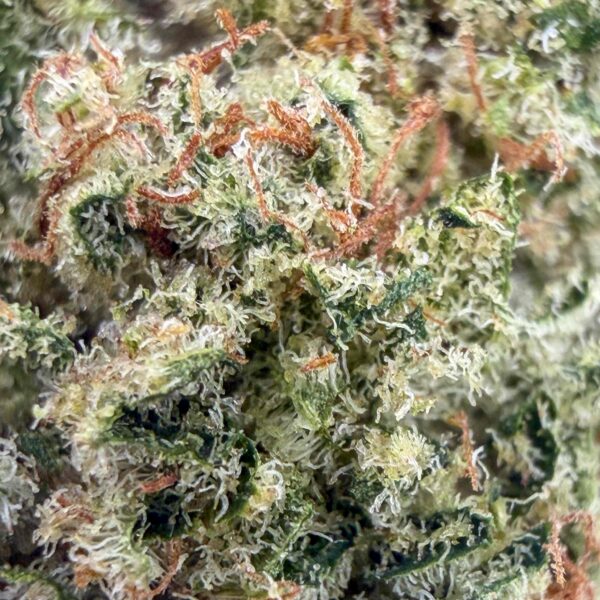 Fleur Dosidos CBD - Bud Mix - Indoor Cali
