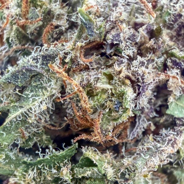 Fleur Kush Mint CBD - Bud Mix - Indoor Cali