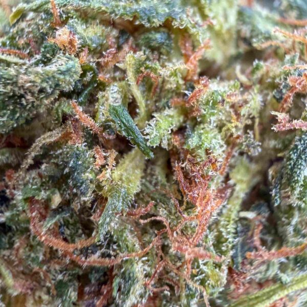 Fleur Lemon Curd THCX 60% - Small bud- Glass-House Cali