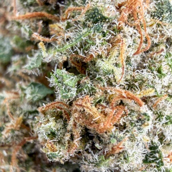 Fleur RS11 CBD - Bud Mix - Indoor Cali