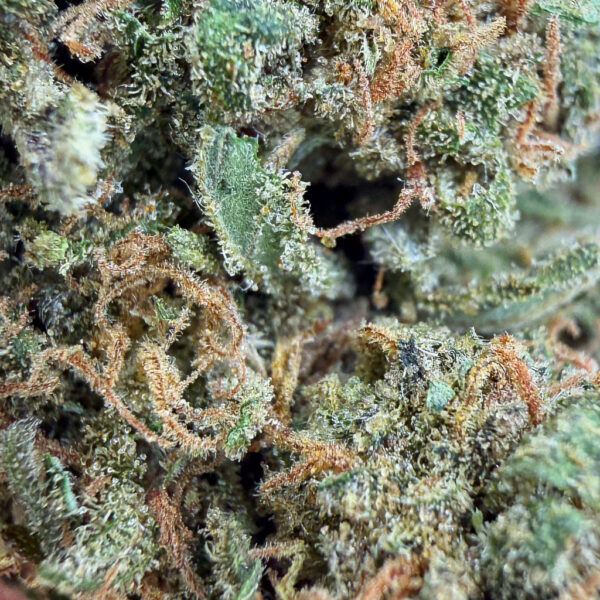 Grossiste CBD Sour Lemon CBD - Bud Mix - Green House Cali