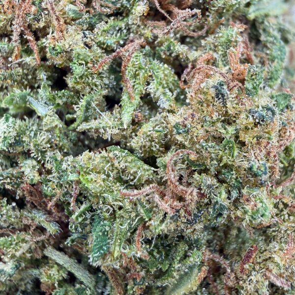 Grossiste CBD Tropicana Cheesecake CBD - Bud Mix - Green House Cali