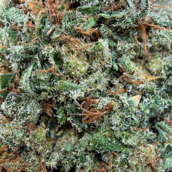 Grossiste Fleur CBD Chemdawg CBD - Bud Mix - Indoor Cali
