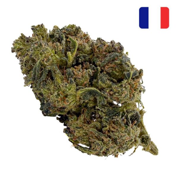 Lemon Orange THCX 60% - Bud Mix - Green-House