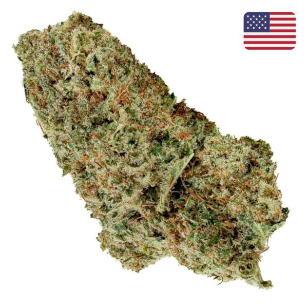 Achat fleur CBD White Cherry Cake CBD - Big Bud - Indoor Cali