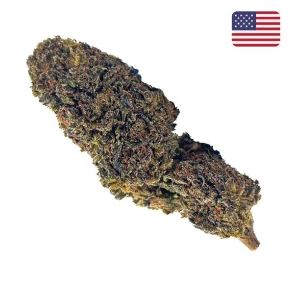 Achat Fleur THCX 60% Sour Mango Medium Bud